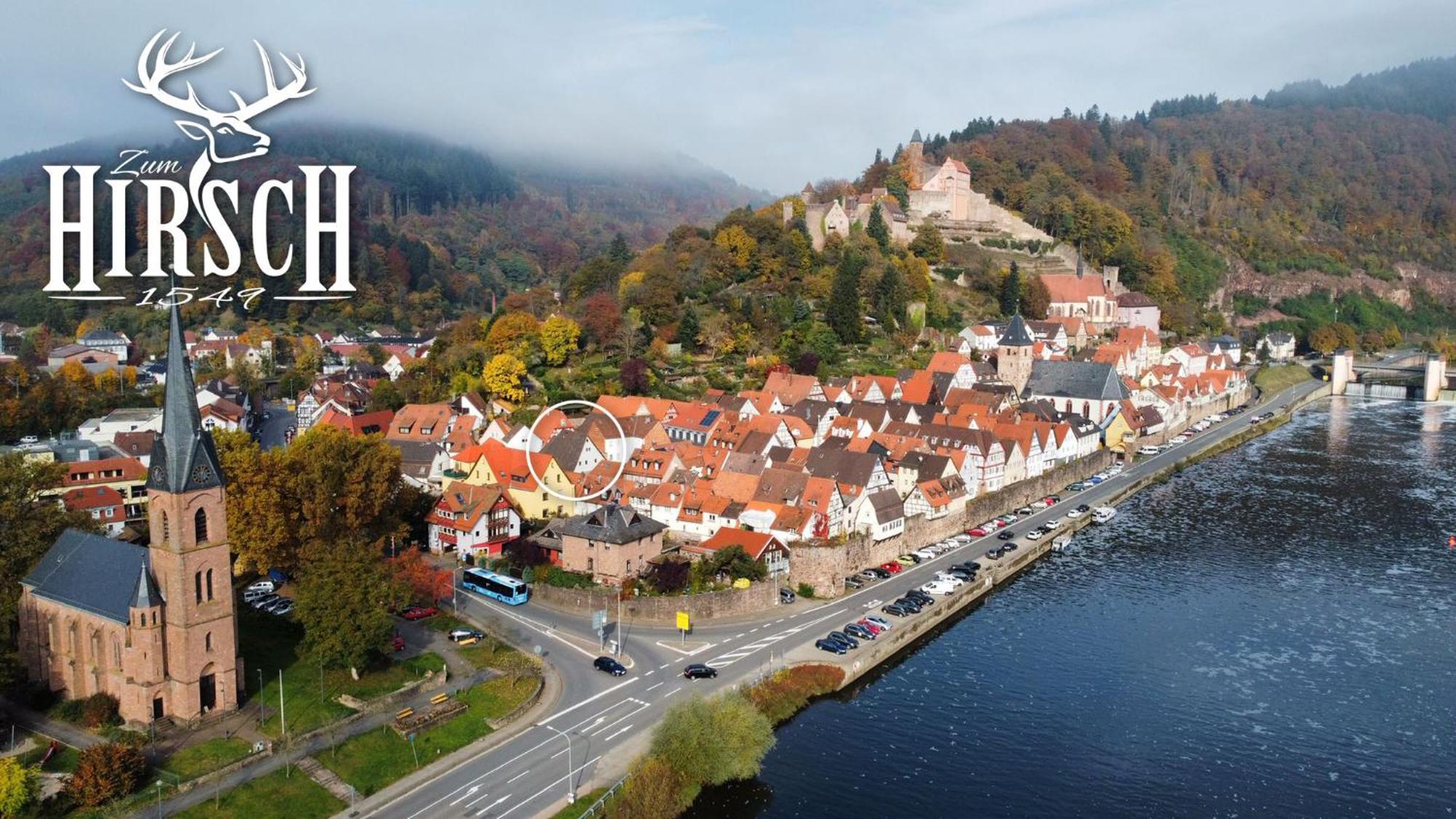 Appartement Schlossberg, Gasthaus Hirsch Hirschhorn Eksteriør bilde